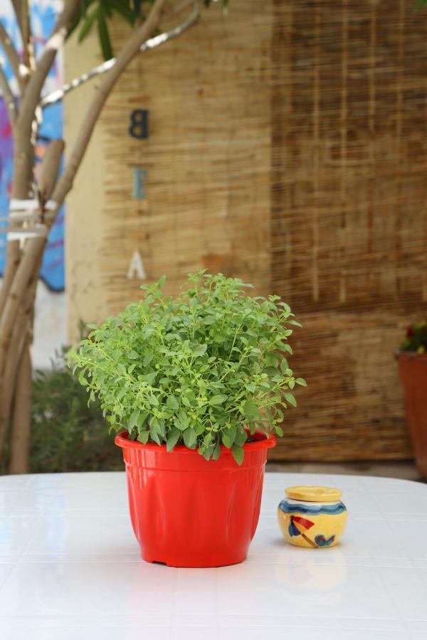 Babina'S Place-Traditional House In ארמופוליס מראה חיצוני תמונה