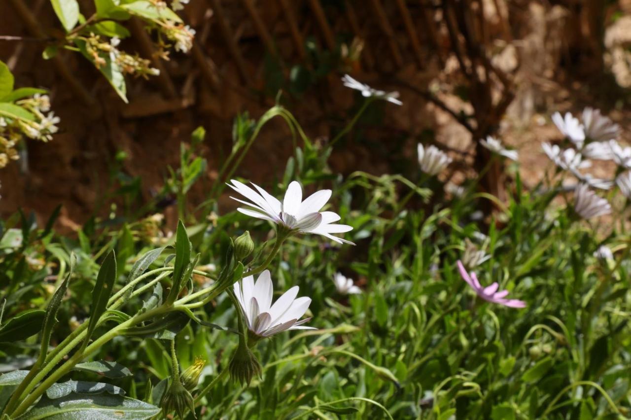 Babina'S Place-Traditional House In ארמופוליס מראה חיצוני תמונה
